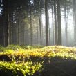 Locatie La Roche Ardennen